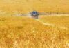 MFF 2028-2034: c’è l’accordo del Consiglio sulla nuova Organizzazione Comune dei Mercati Agricoli (OCM) agricoltura e industria alimentare