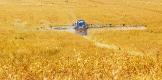 MFF 2028-2034: c’è l’accordo del Consiglio sulla nuova Organizzazione Comune dei Mercati Agricoli (OCM) agricoltura e industria alimentare