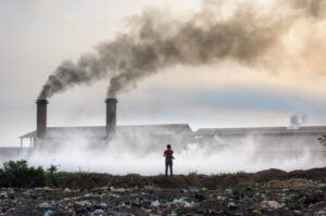 © Shutterstock 24Novembers WWF E1675852661533