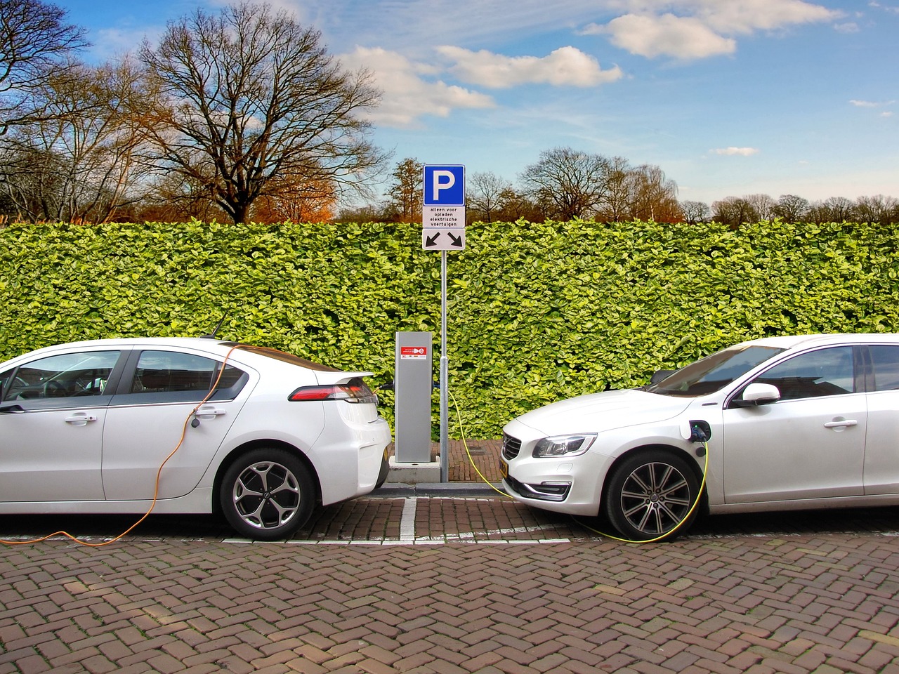 auto elettrica nichel