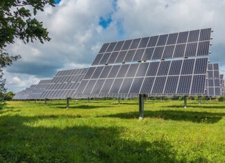 Expert in Renewable Energy rinnovabili