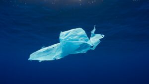 sacchetti di plastica