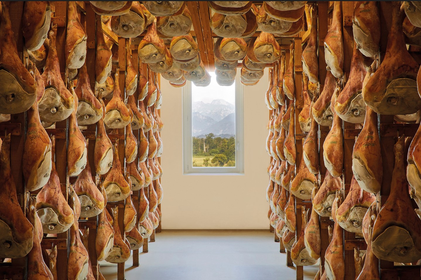 Consorzio San Daniele, presto un impianto per il recupero del sale