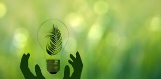 Transizione energetica come politica industriale per l’Italia: vale 220 miliardi entro il 2040 Transizione energetica