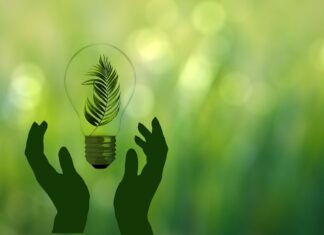 Transizione energetica come politica industriale per l’Italia: vale 220 miliardi entro il 2040 Transizione energetica