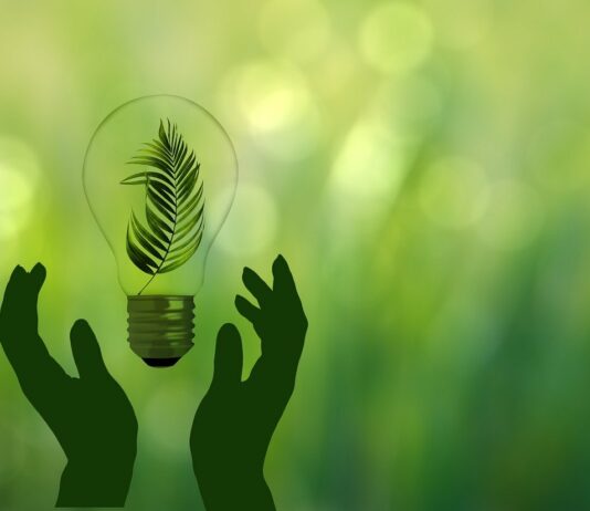 Transizione energetica come politica industriale per l’Italia: vale 220 miliardi entro il 2040 Transizione energetica