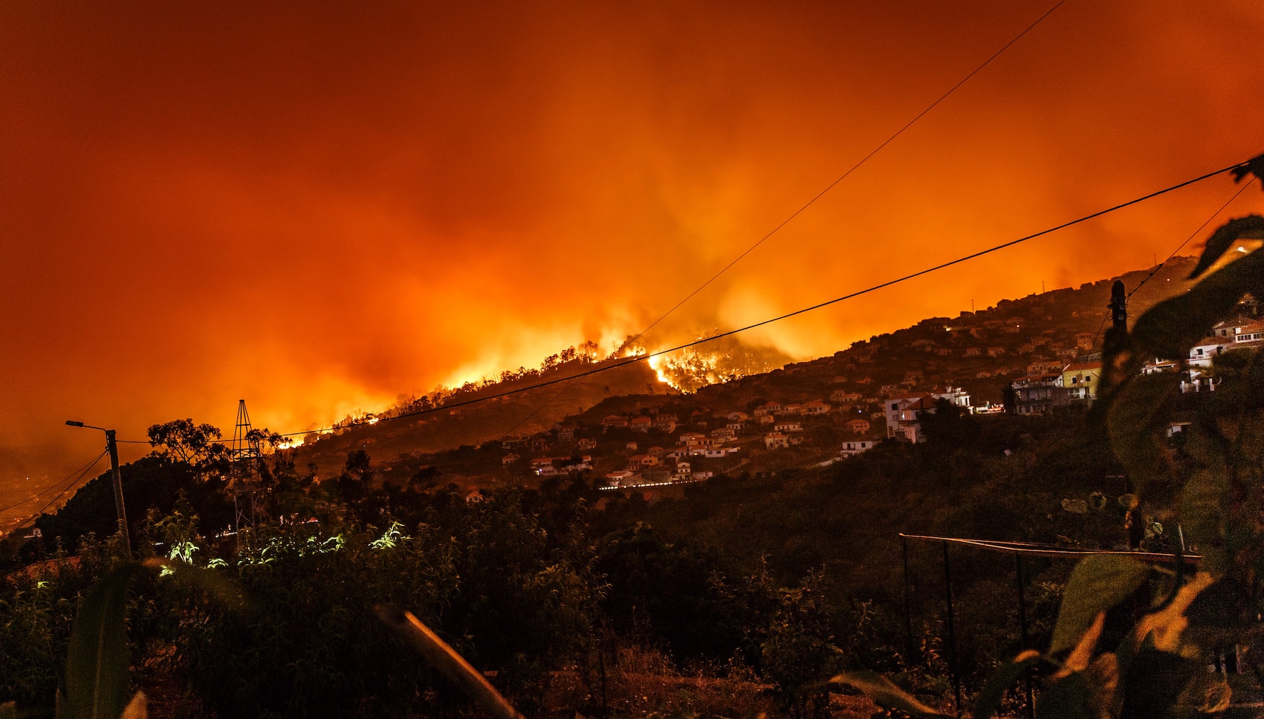 Incendi in Europa crisi climatica futuro