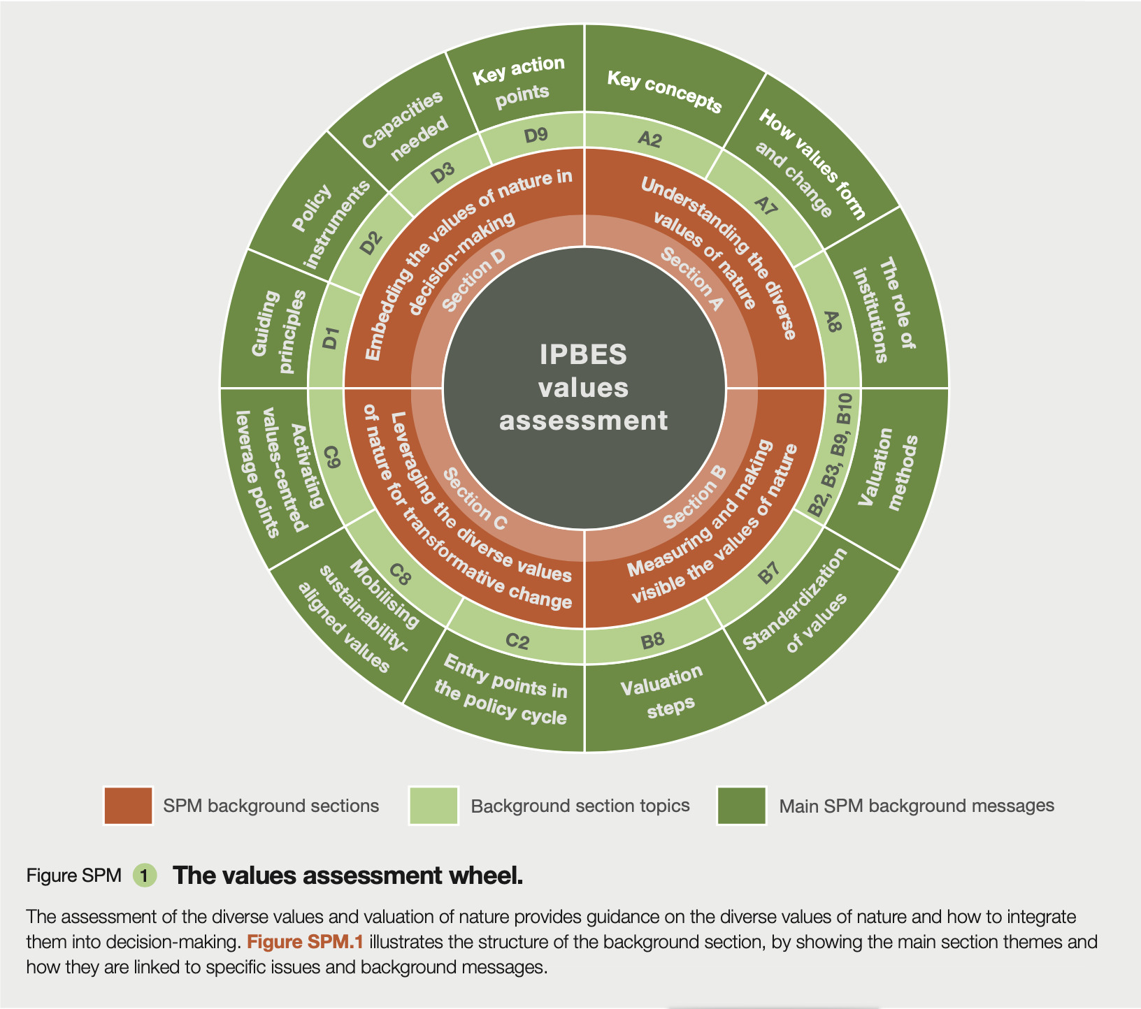 grafico ipbes