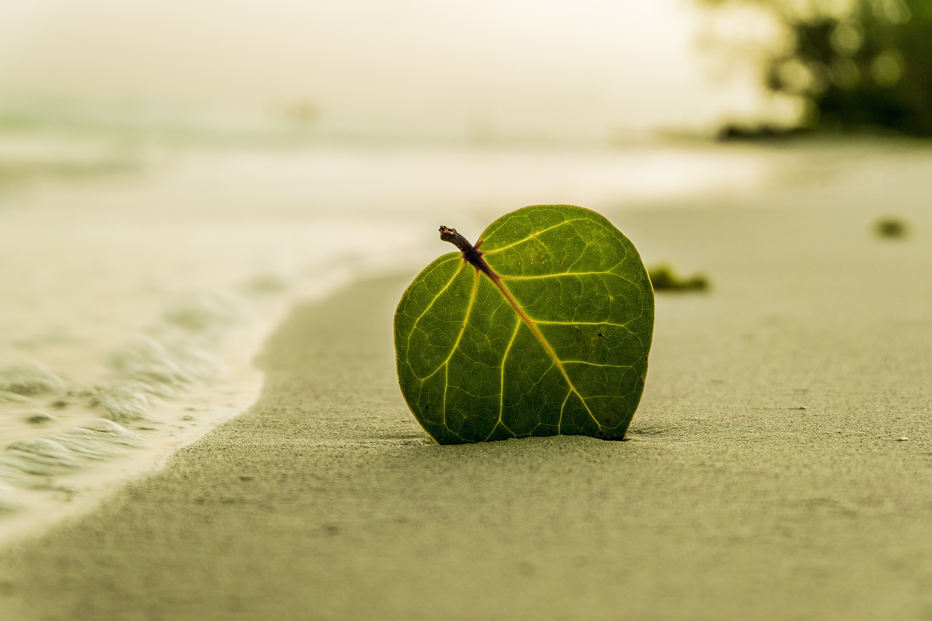 pniec beach- isola sostenibilità finanza mista