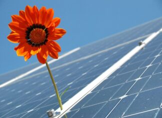 DL Bollette e Rinnovabili: Italia Solare chiede a Terna un “manuale d’istruzioni” per le nuove connessioni solare fotovoltaico ventotene