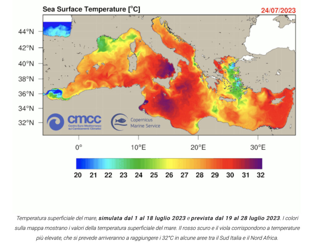 Ondata Il mar Mediterraneo sta fronteggiando un’ondata di calore marino