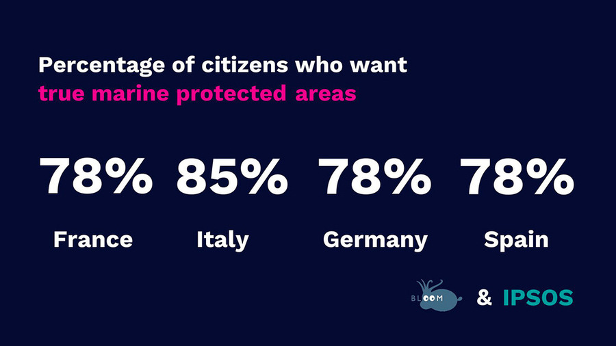 Sondaggio Bloom Ipsos aree marine protette