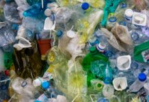 Plastica, la raccolta si ferma nei Comuni: è crisi nazionale per la filiera del riciclo raccolta differenziata Formigine Modena