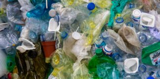 Plastica, la raccolta si ferma nei Comuni: è crisi nazionale per la filiera del riciclo raccolta differenziata Formigine Modena