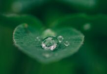 Una nuova centrale di potabilizzazione a Cornaredo Obiettivo Acqua dl ambiente richiesta fiducia