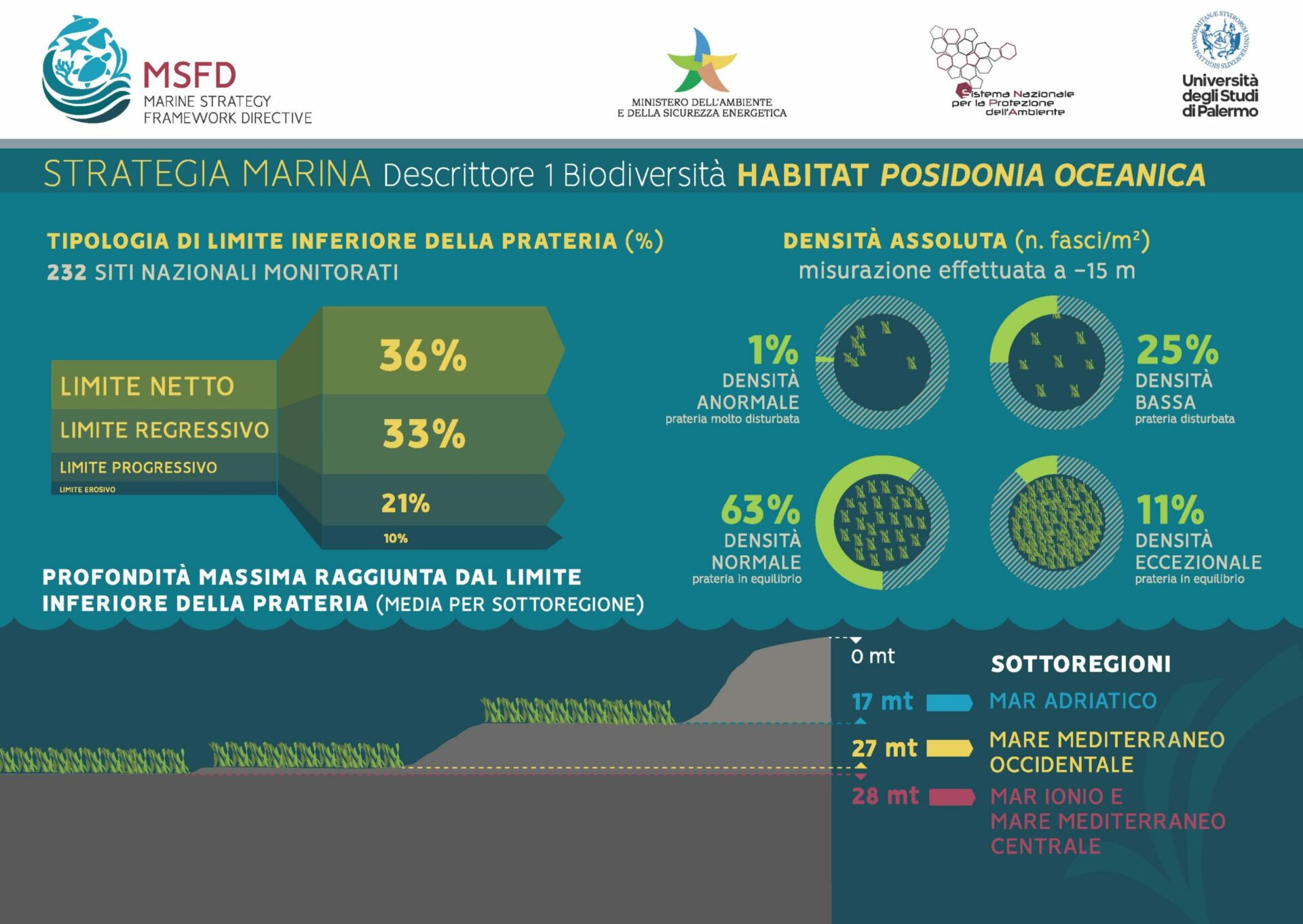 POSIDONIA-scaled