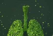 Inquinamento in Lombardia, lo smog pesa per 33,4 miliardi sul PIL qualità dell'aria CBAM