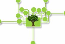Efficienza energetica e tracciabilità dei rifiuti: il MASE accelera sulla transizione ecologica elettrolizzatoris sharing mobility