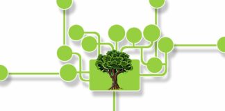 Efficienza energetica e tracciabilità dei rifiuti: il MASE accelera sulla transizione ecologica elettrolizzatoris sharing mobility