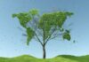 Piano Sociale per il Clima: per le associazioni ambientaliste e sociali le risorse ci sono, ma mancano strategia e incisività ETS misura efficace