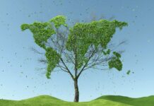 L’Ets2 trasforma la CO2 in una voce di costo permanente, ecco come gestire il cambiamento ETS misura efficace