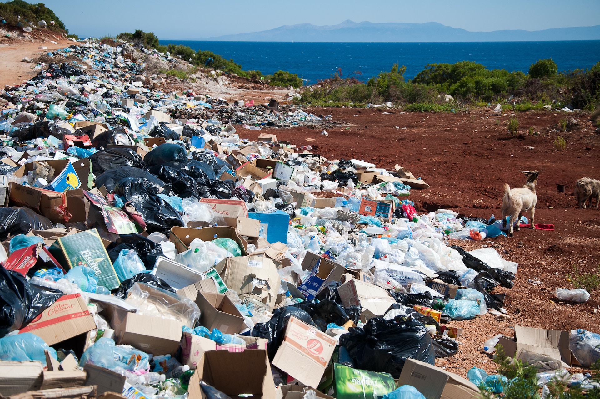 Ecocidio