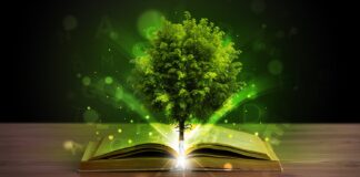 Comitato ETS ha approvato le “Indicazioni Tecniche e Operative” per biometano sostenibile industria culturale sostenibilità