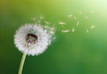 Settimana Parlamentare: tra taglio bollette e allarme Assital sull’efficienza energetica sostenibilità fitofarmaci