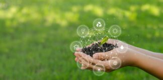 Investimenti, tecnologia e sostenibilità al centro del cambiamento Transizione industriale voilàp