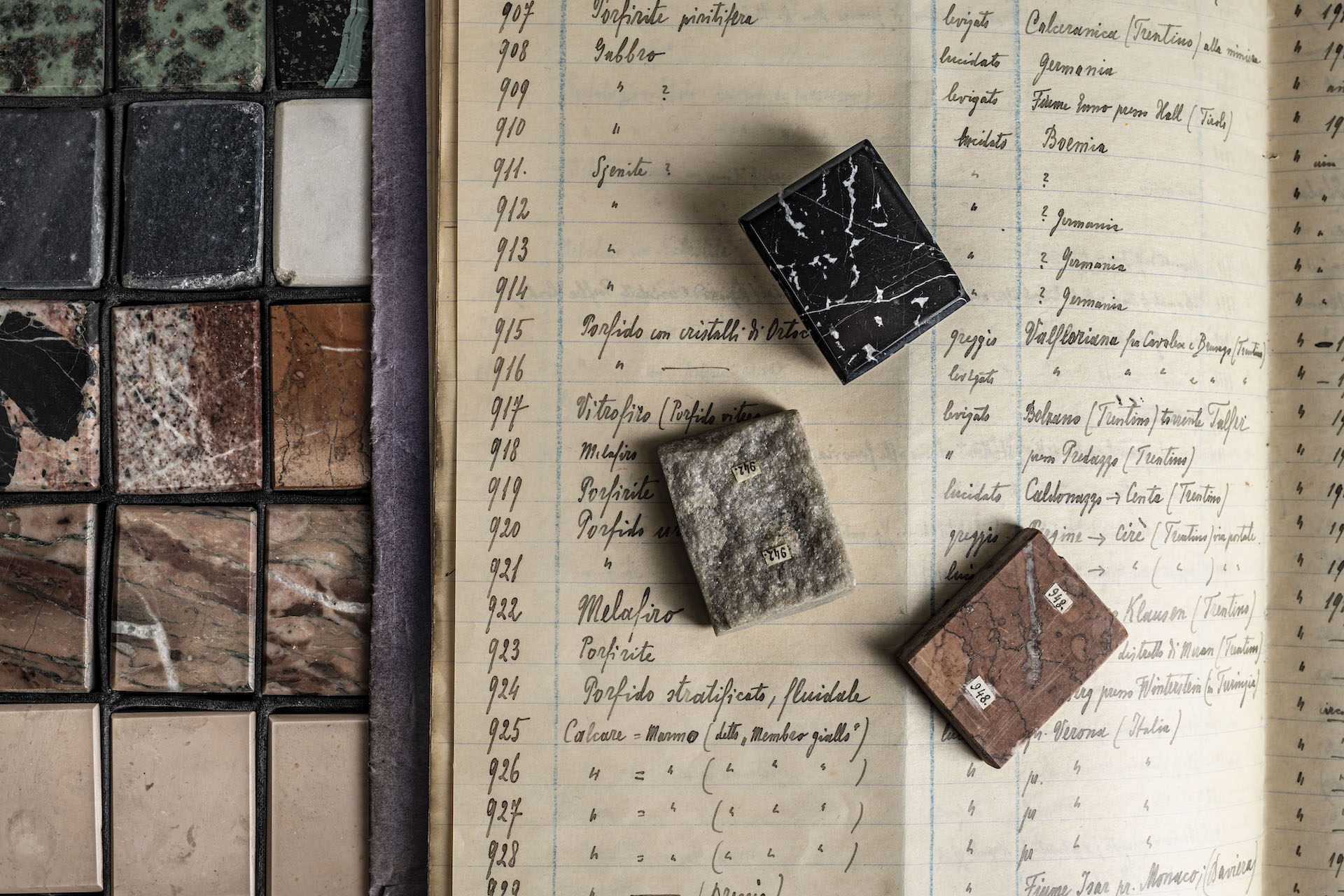 GEOdi MUSE