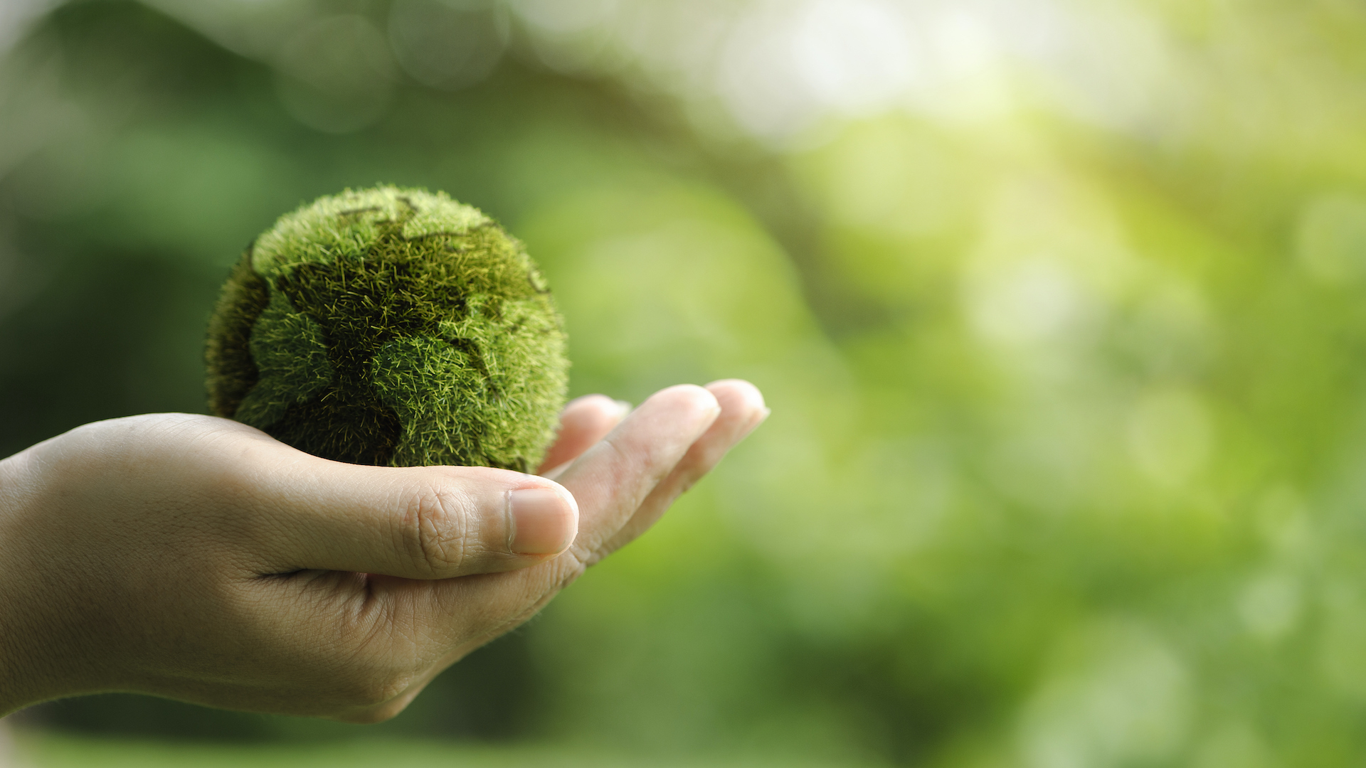 Transizione ecologica