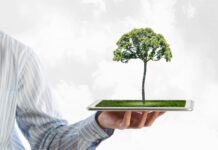 Energia e innovazione, le news delle aziende Sostenibilità digitale portale “Permitting”