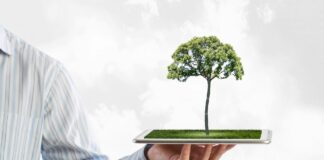 Digital Sustainability Award 2026: al via il rush finale per presentare le candidature Sostenibilità digitale portale “Permitting”