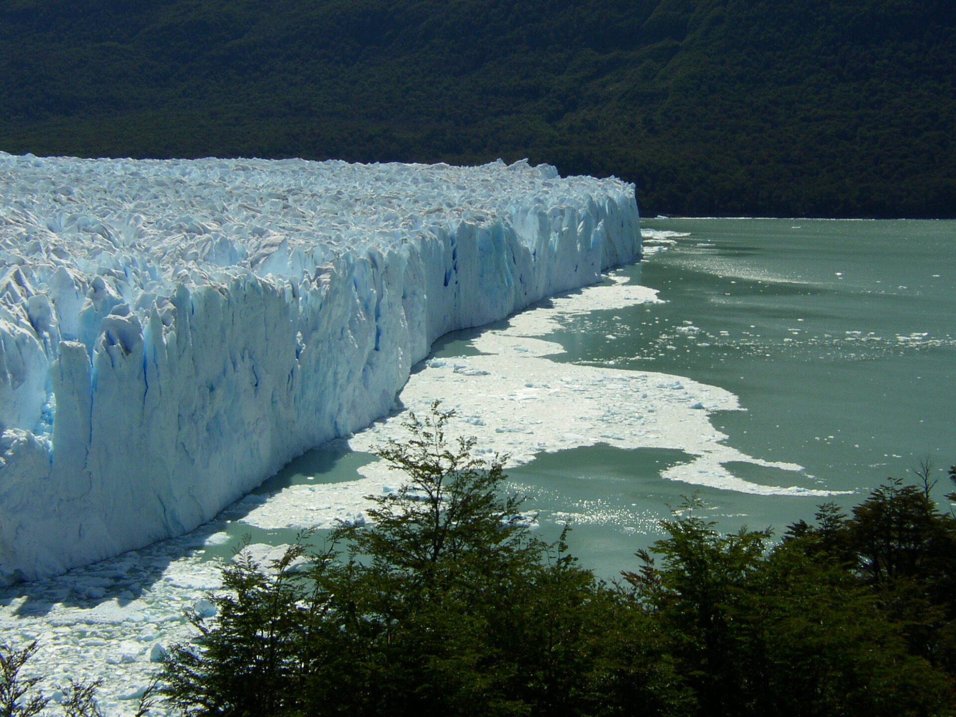 Il fronte del famoso ghiacciaio Perito Moreno che si origina dal Campo de Hielo Sud della Patagonia e che si getta nel Lago Argentino (credits: foto di E. Lodolo)