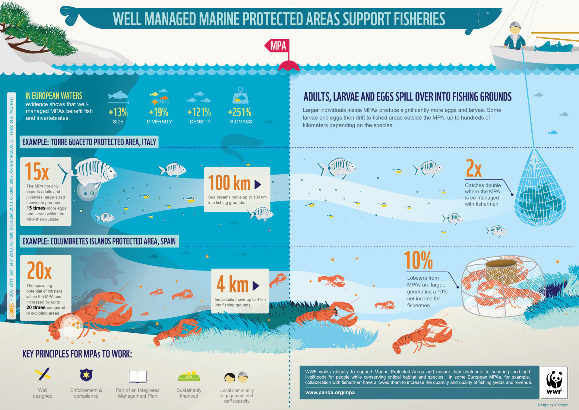 Temperate MPA Infographic A3 High Res