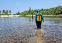 Al via un nuovo progetto per tutelare le mangrovie Ricercatori dell’Università di Milano-Bicocca, mangrovie, mangrovieti