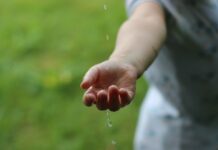 Dalle aste FER-X alla Blockchain: come sta cambiando l’energia in Italia azione climatica