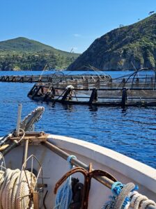 Impianti Di Maricoltura Sulla Costa Est Dellisola Foto Ilaria C. Restifo