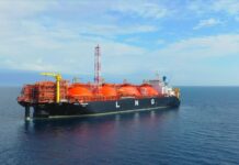 Un successo le prime aste Olt sullo small scale aste olt 2025 small scale