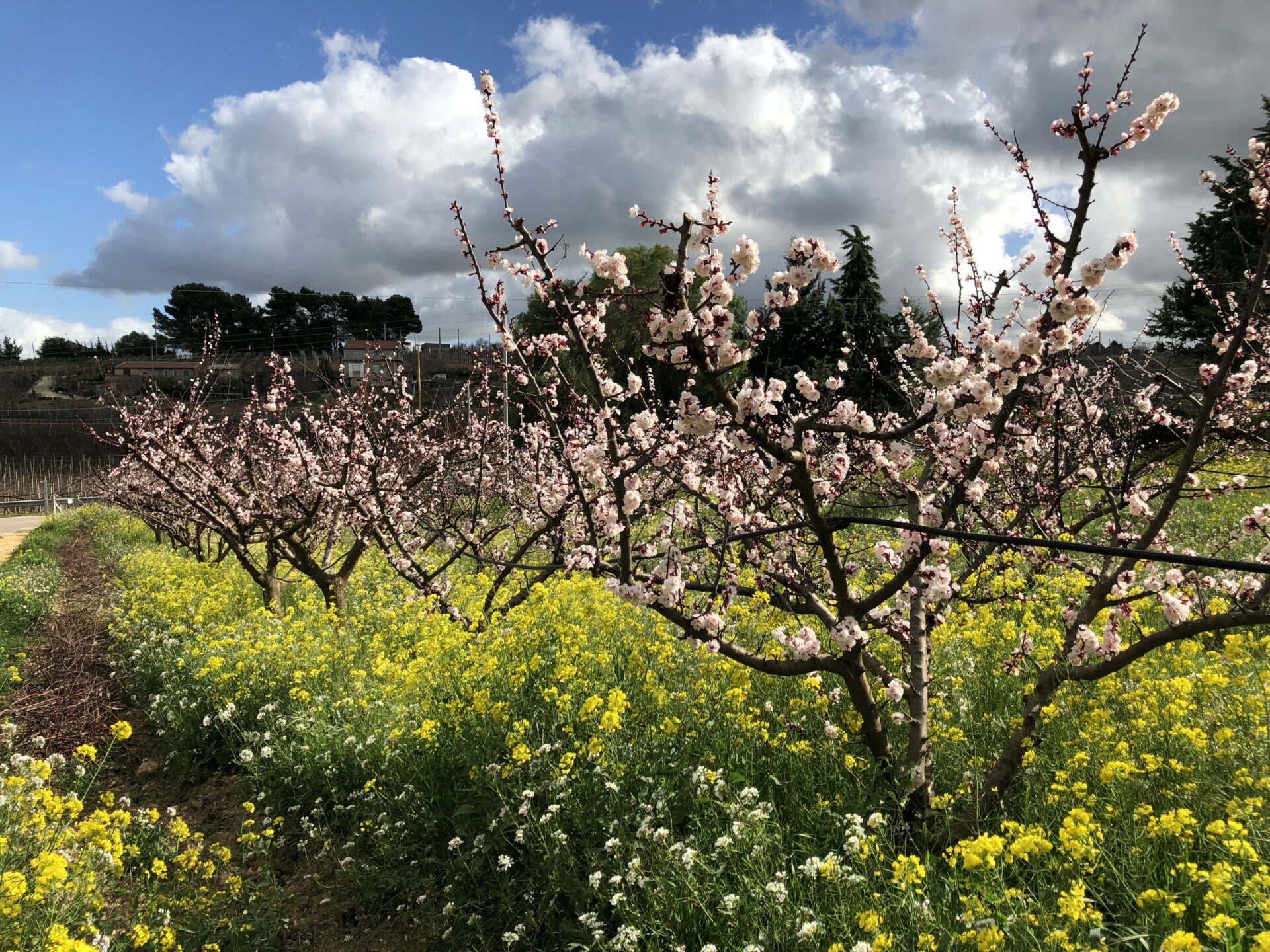Agroecologia 01