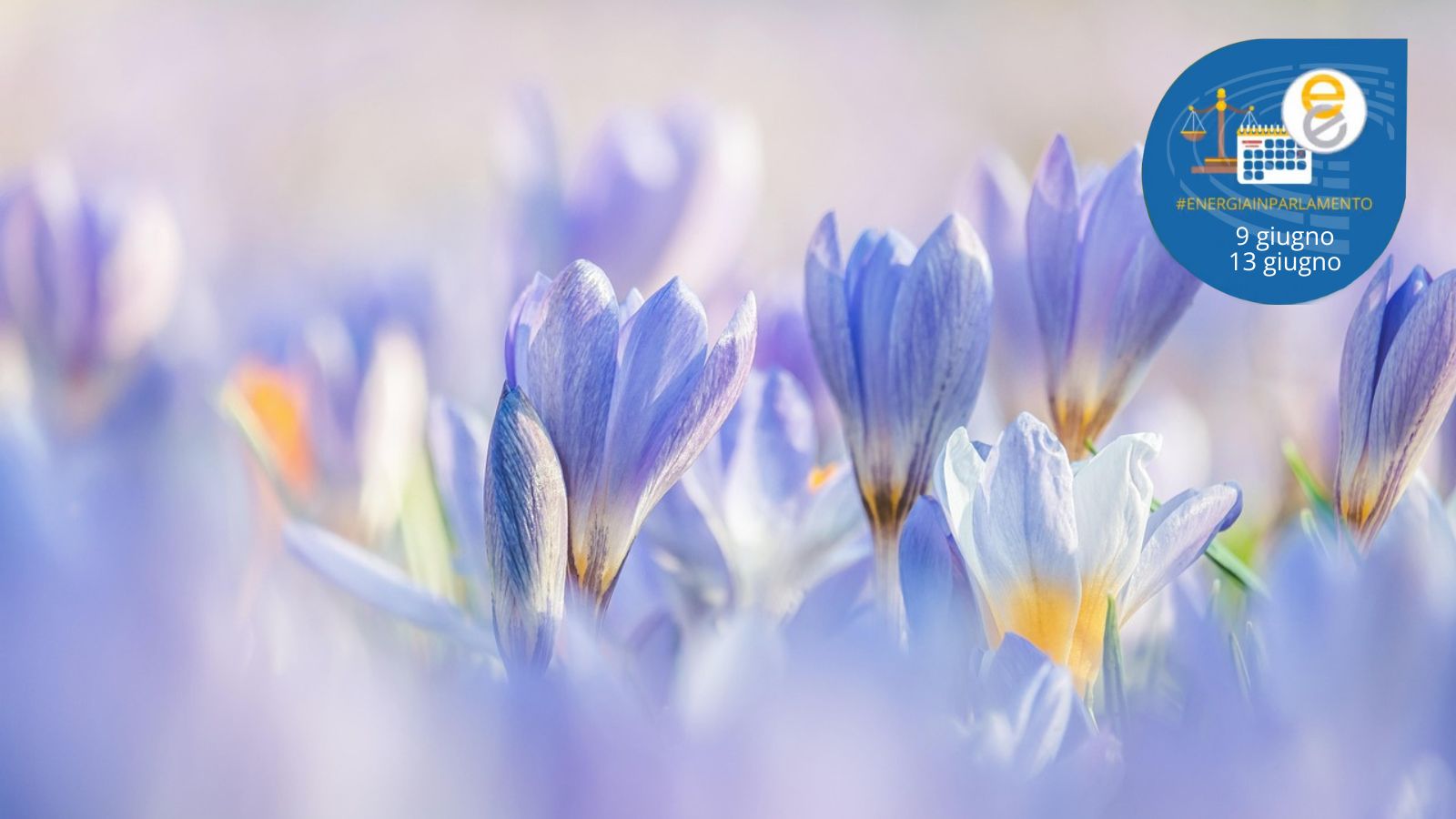 pacchetto primavera