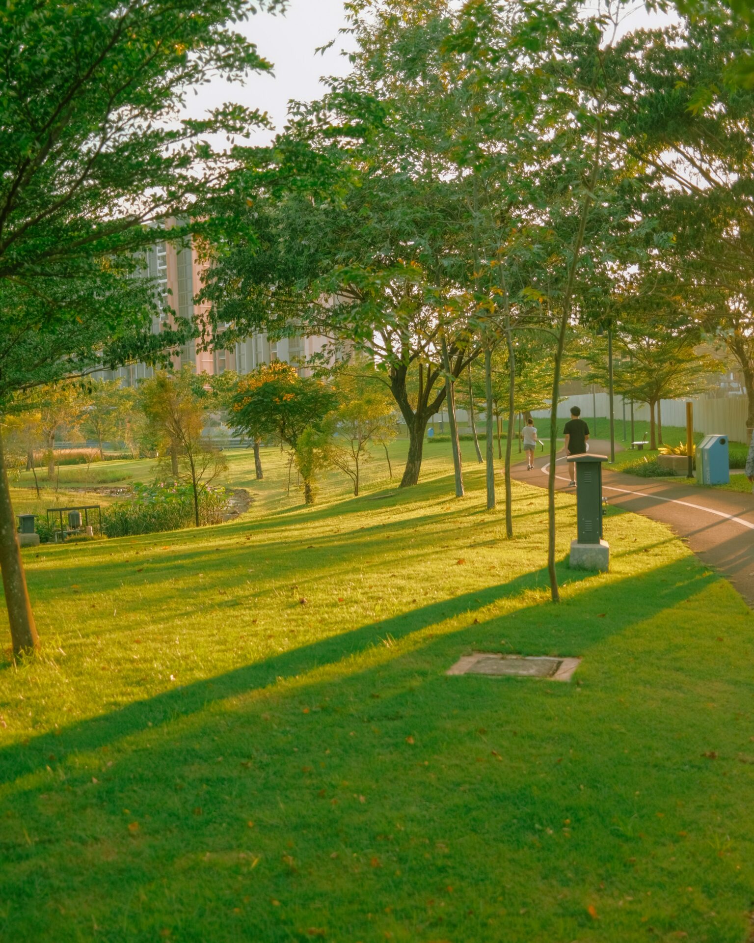 urban carbon farming-2