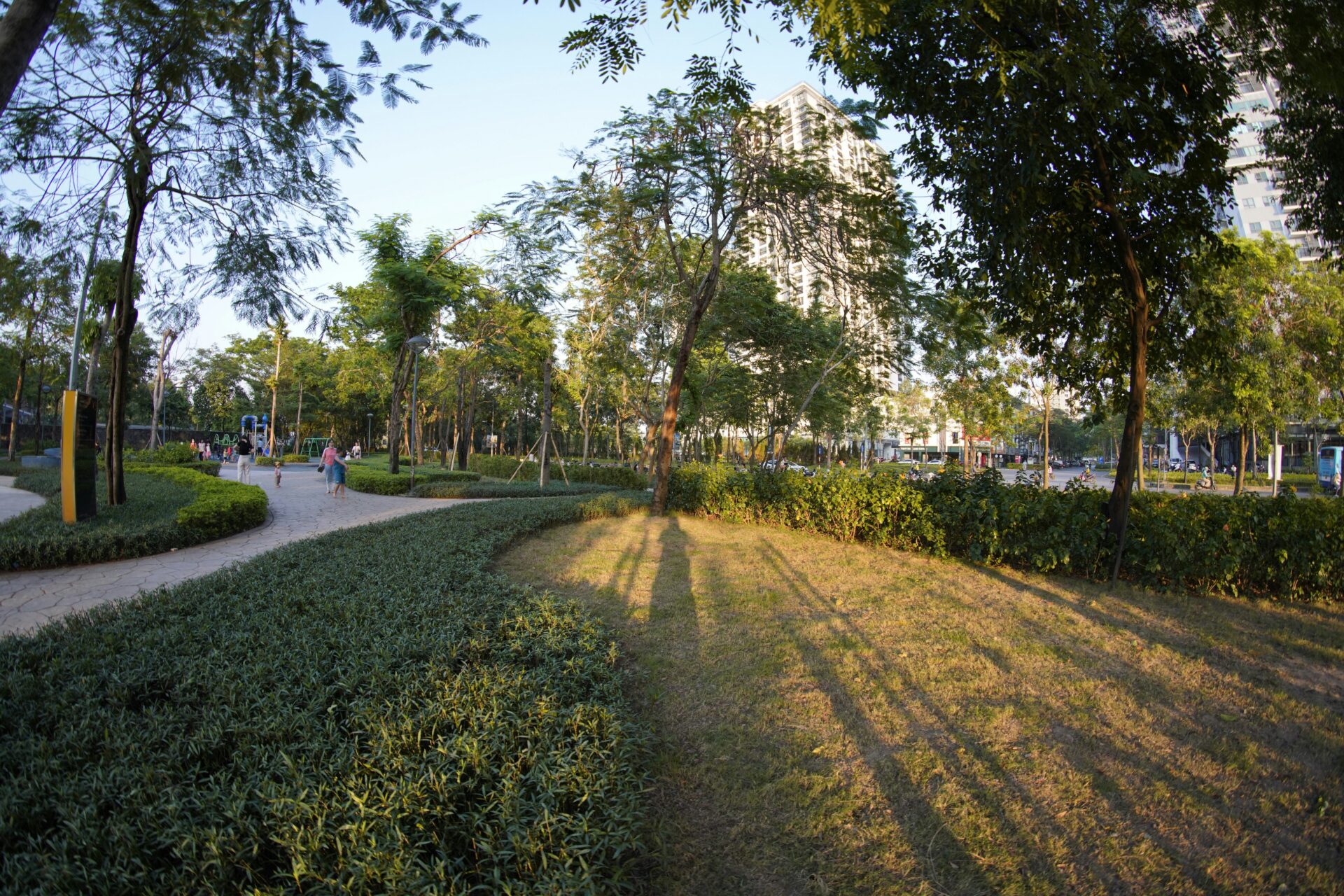 urban carbon farming-3