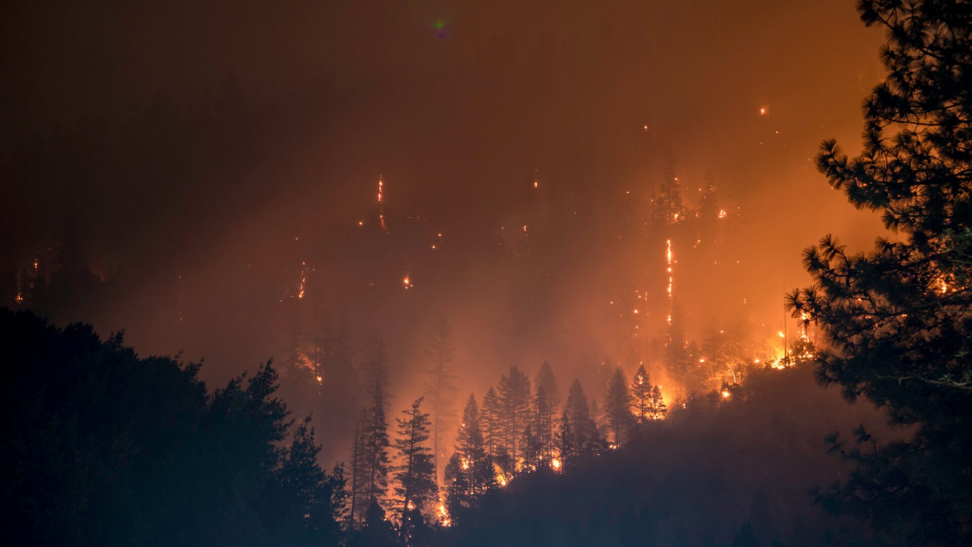 incendi