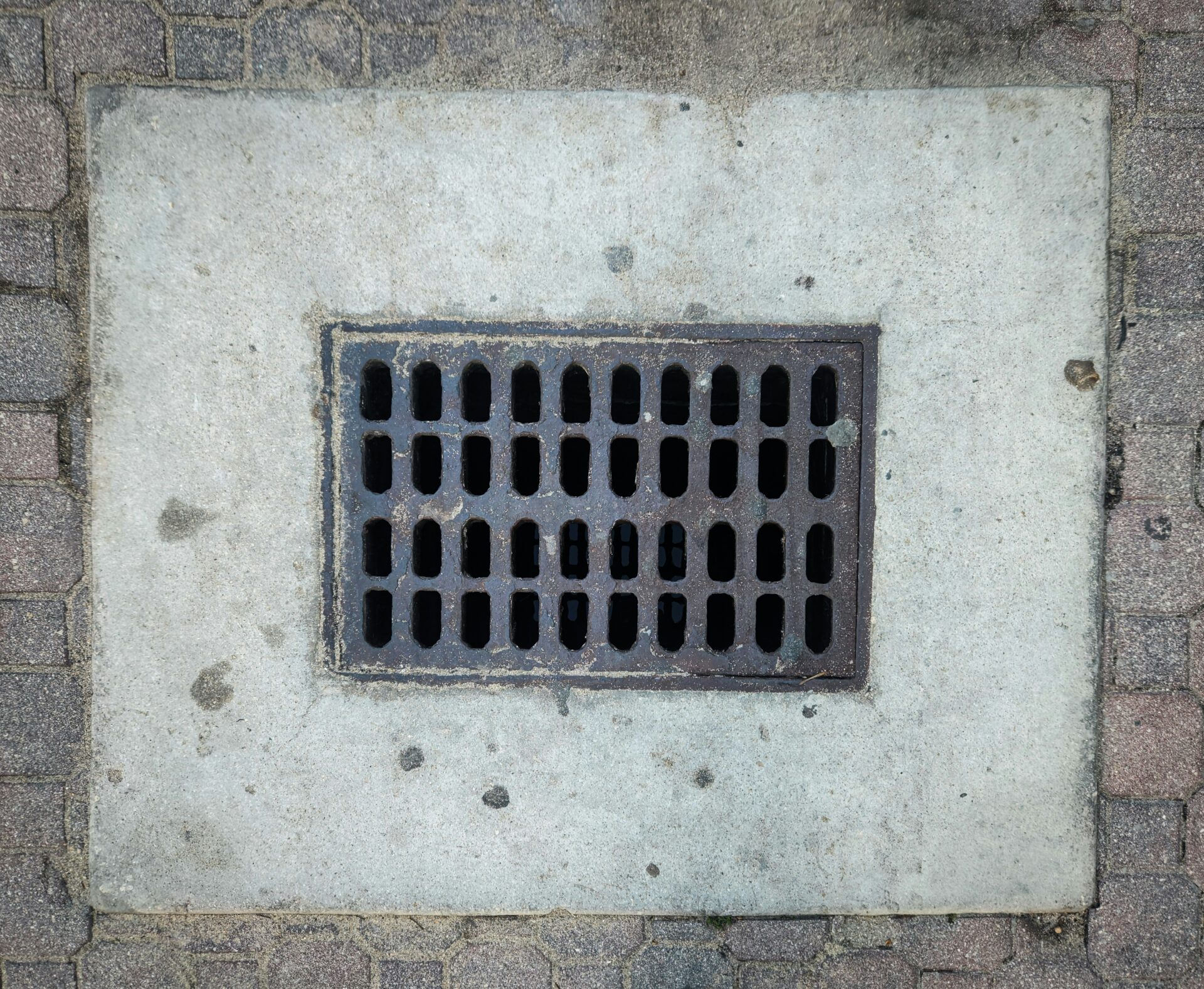 virus
