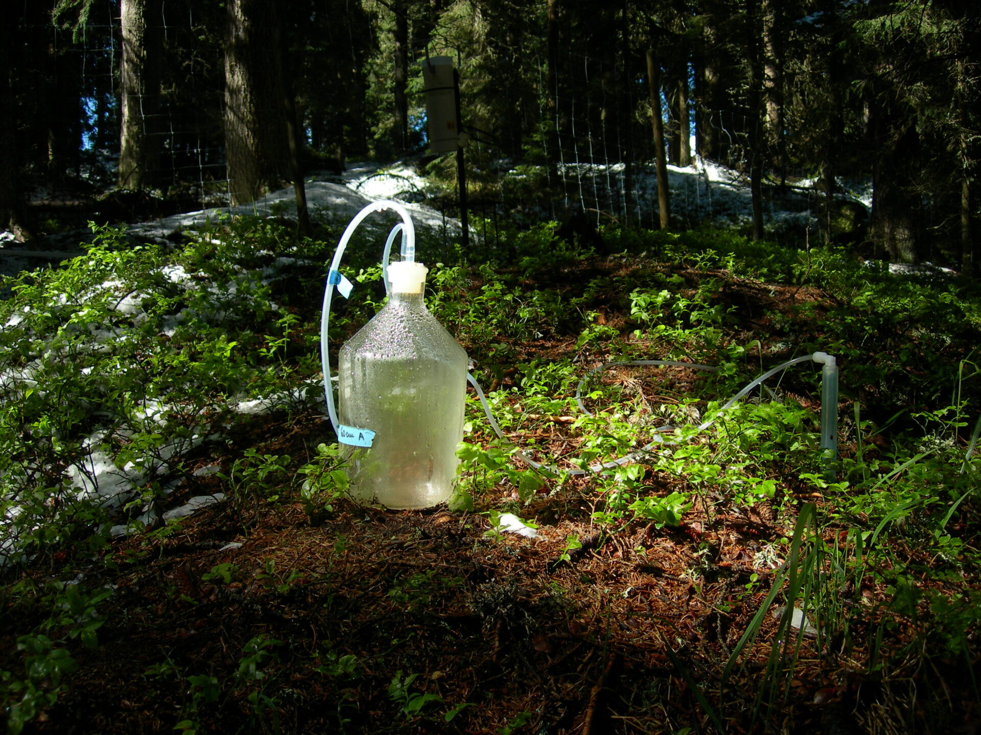 Campionatore in aree forestale
