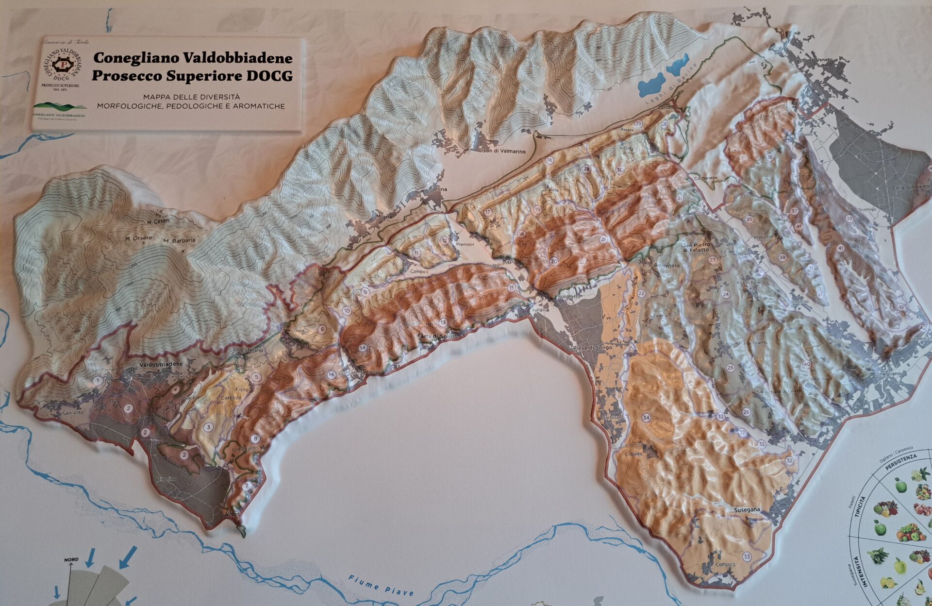 viticoltura sostenibile Prosecco rilievo clline