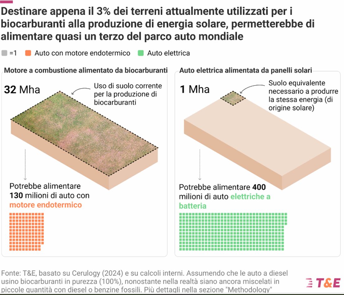 consumo suolo per biocarburanti consumo suolo per biocarburanti