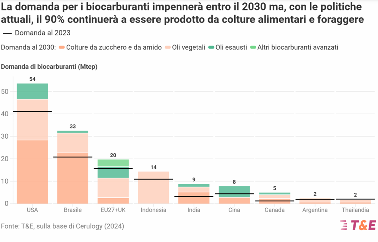 biofuel dati domanda biofuel dati domanda