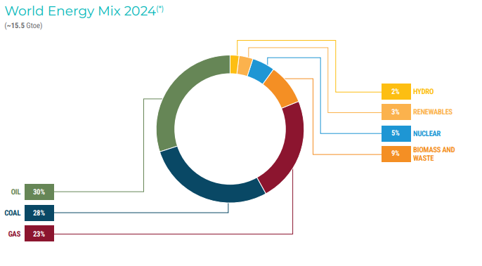 World Energy Mix 2024(*)